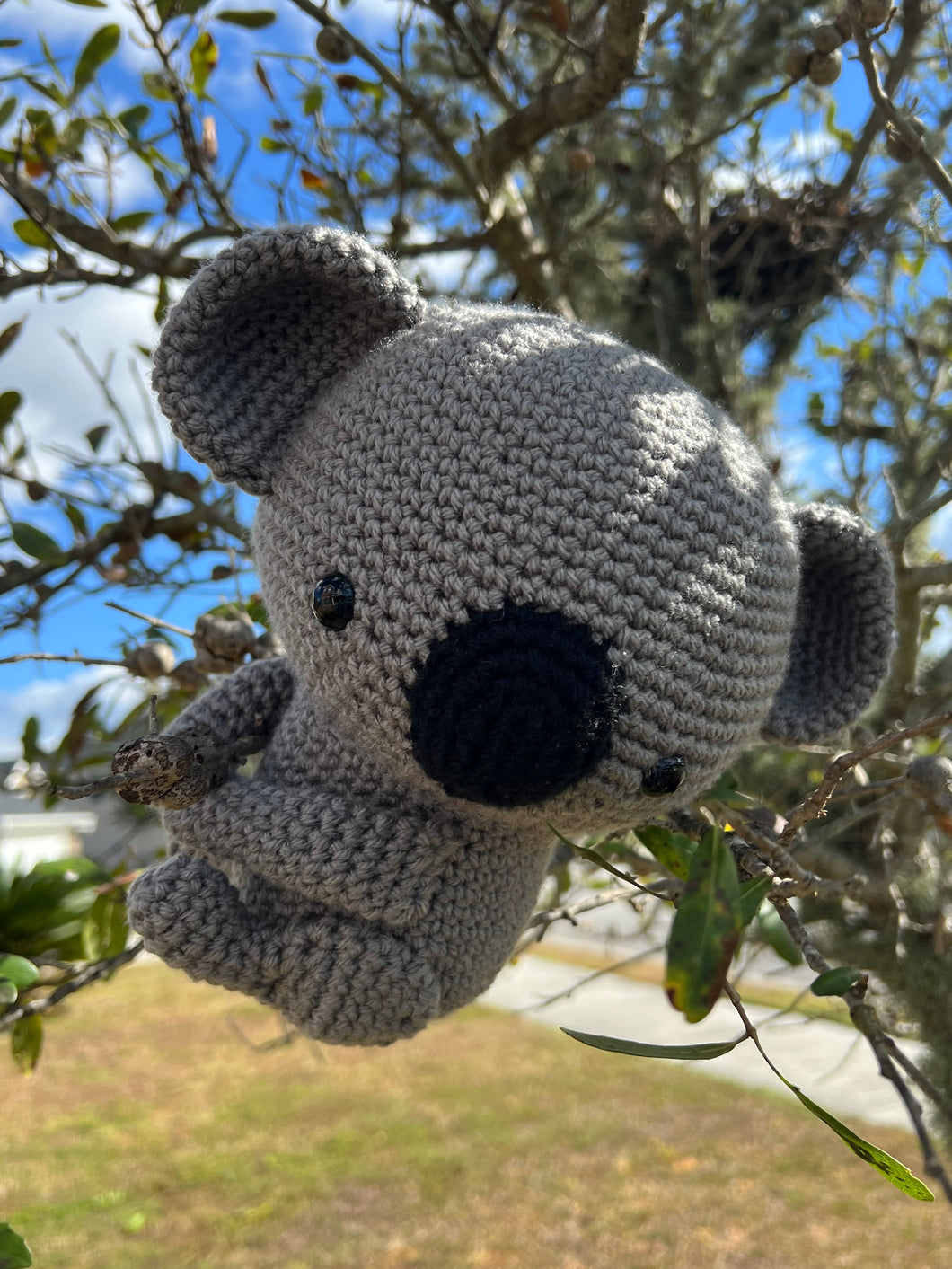 Koala